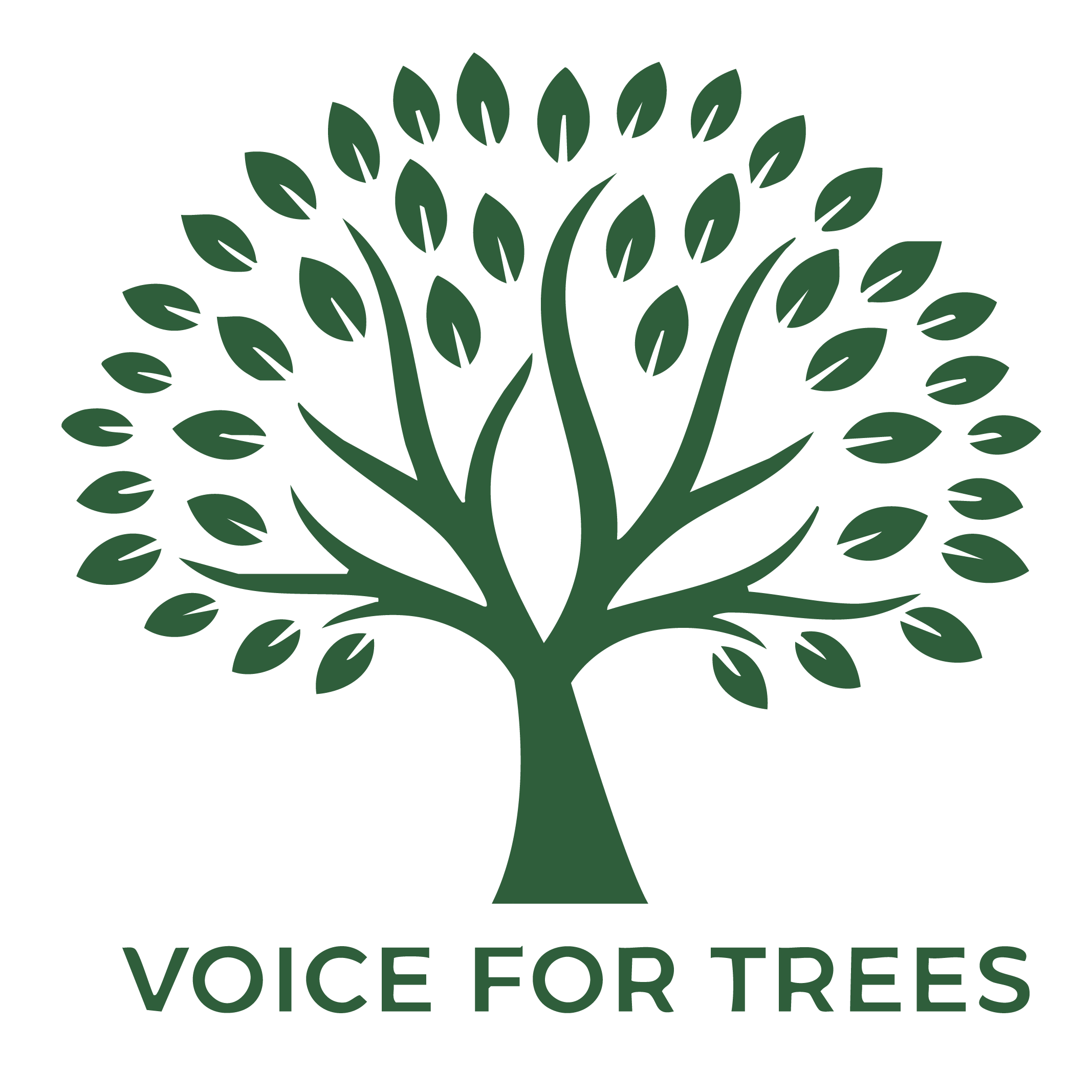 Voice for Trees Logo