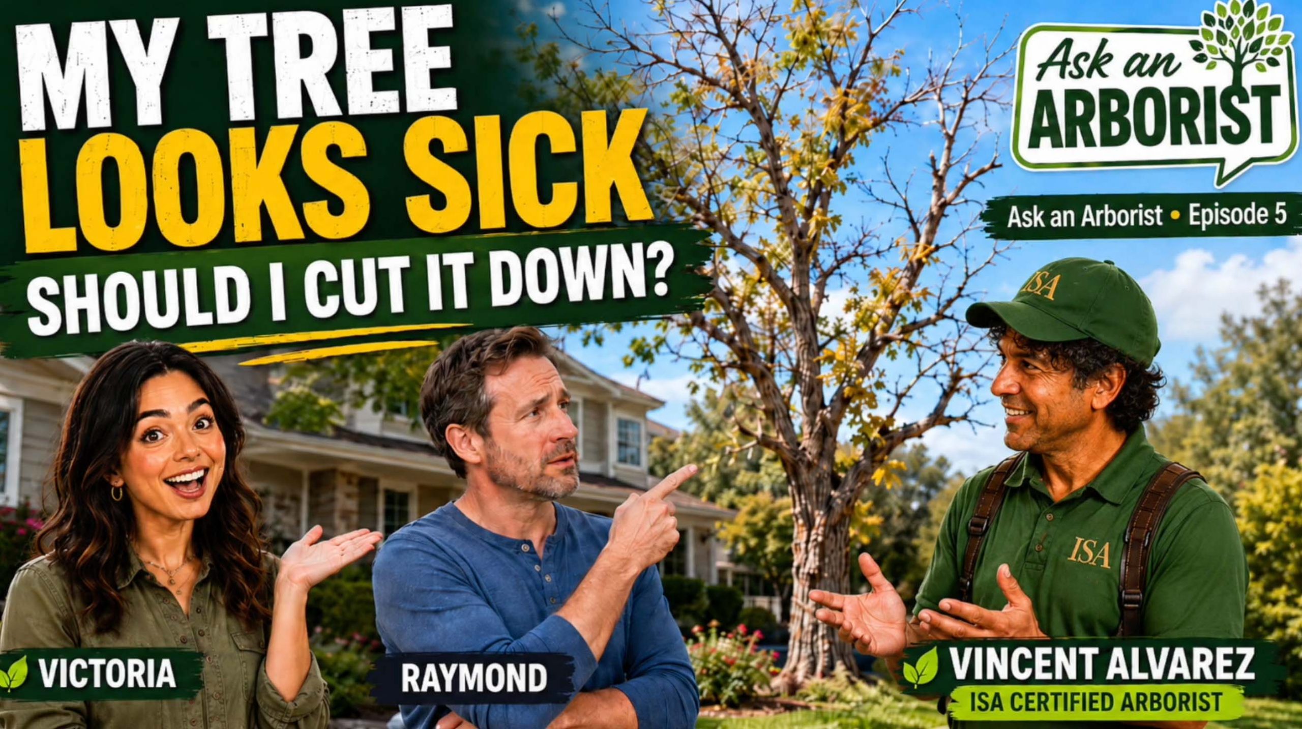 episode5 My Tree Looks Sick, Should I cut it Down?