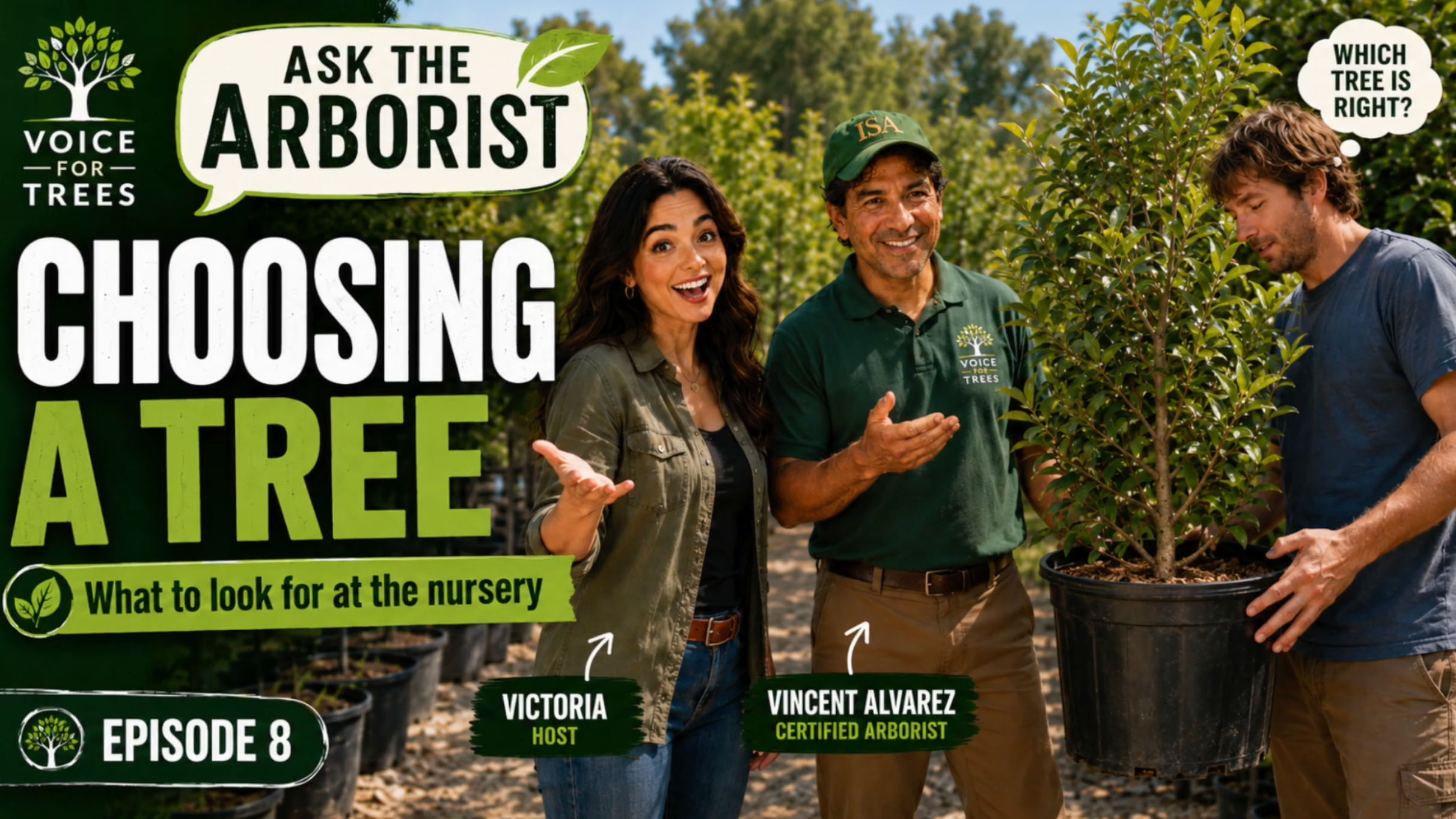 planting1 Choosing a Tree